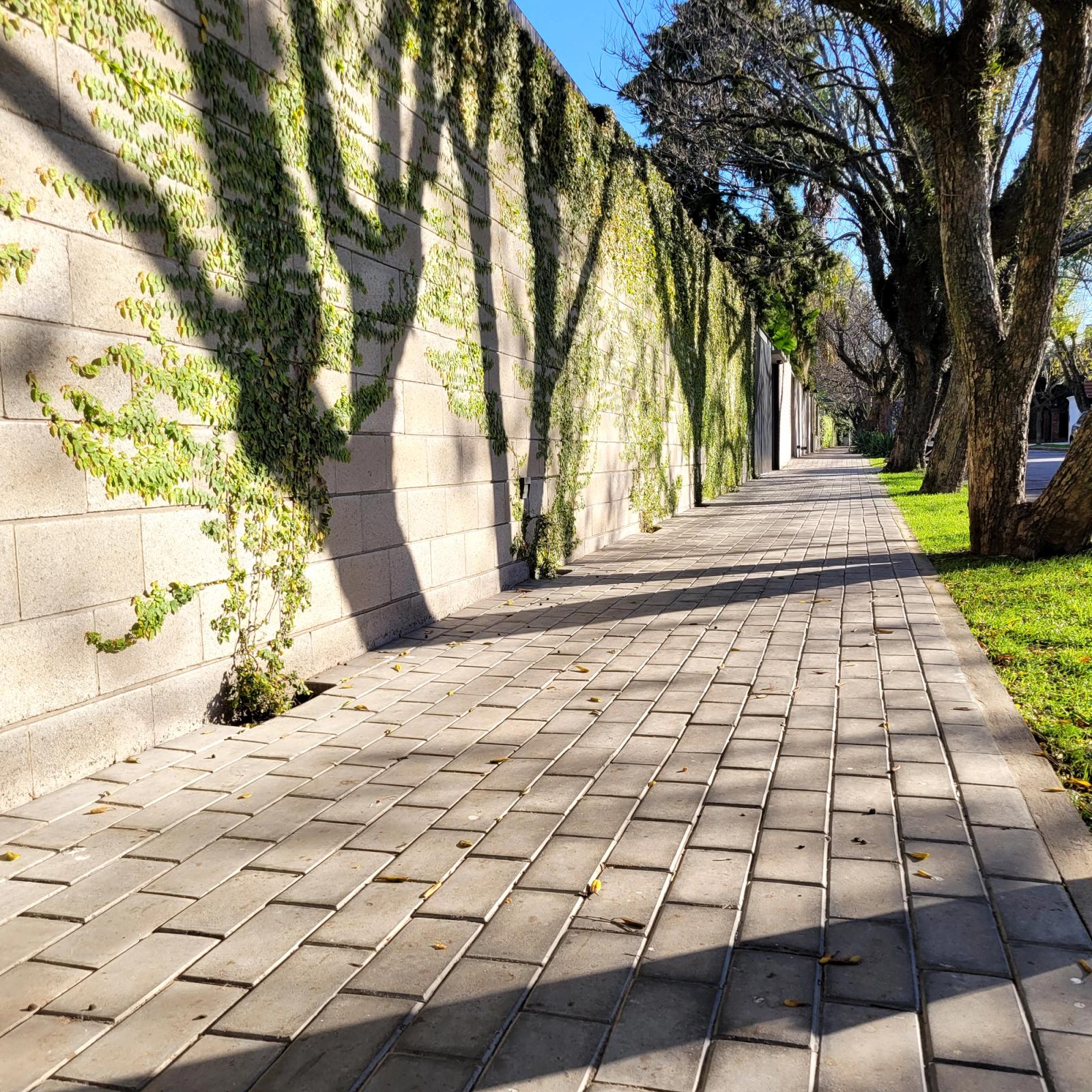 Vereda exterior realizada con el diseño de baldosa holanda 40x40 simulando adoquines rectangulares de hormigón, ejemplo de piso resistente y antideslizante para caminos peatonales.
