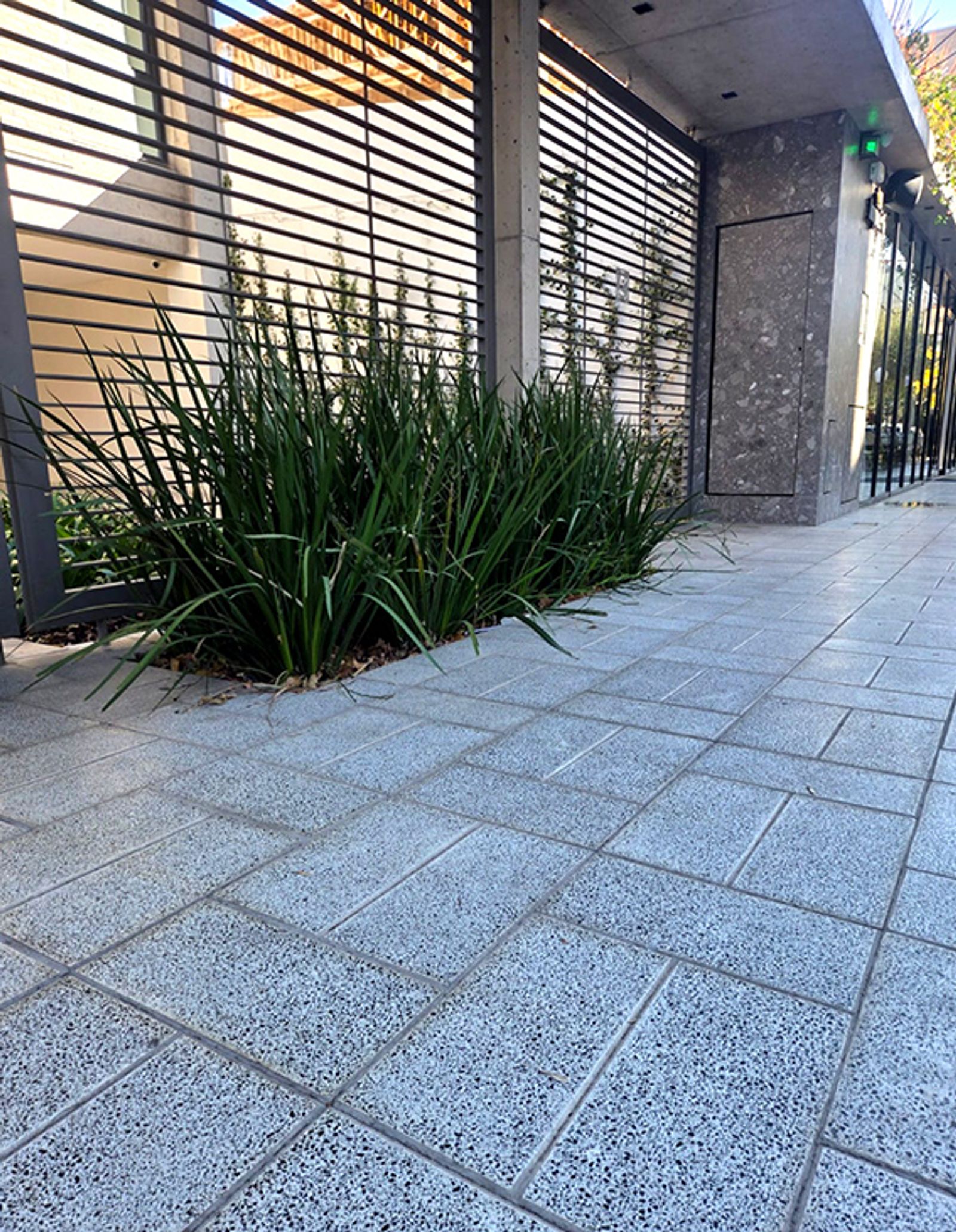 Balodosa Dubra 2 panes colocada en edificio DIMA