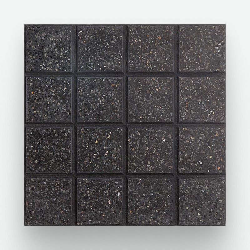 16 Panes Negro Alpes