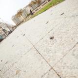 Blanco Cordoba - imagen 2