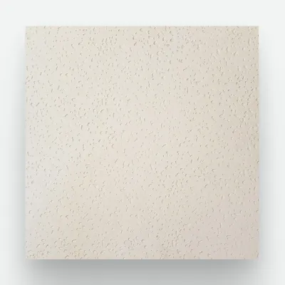 Loseta Atérmica 50x50