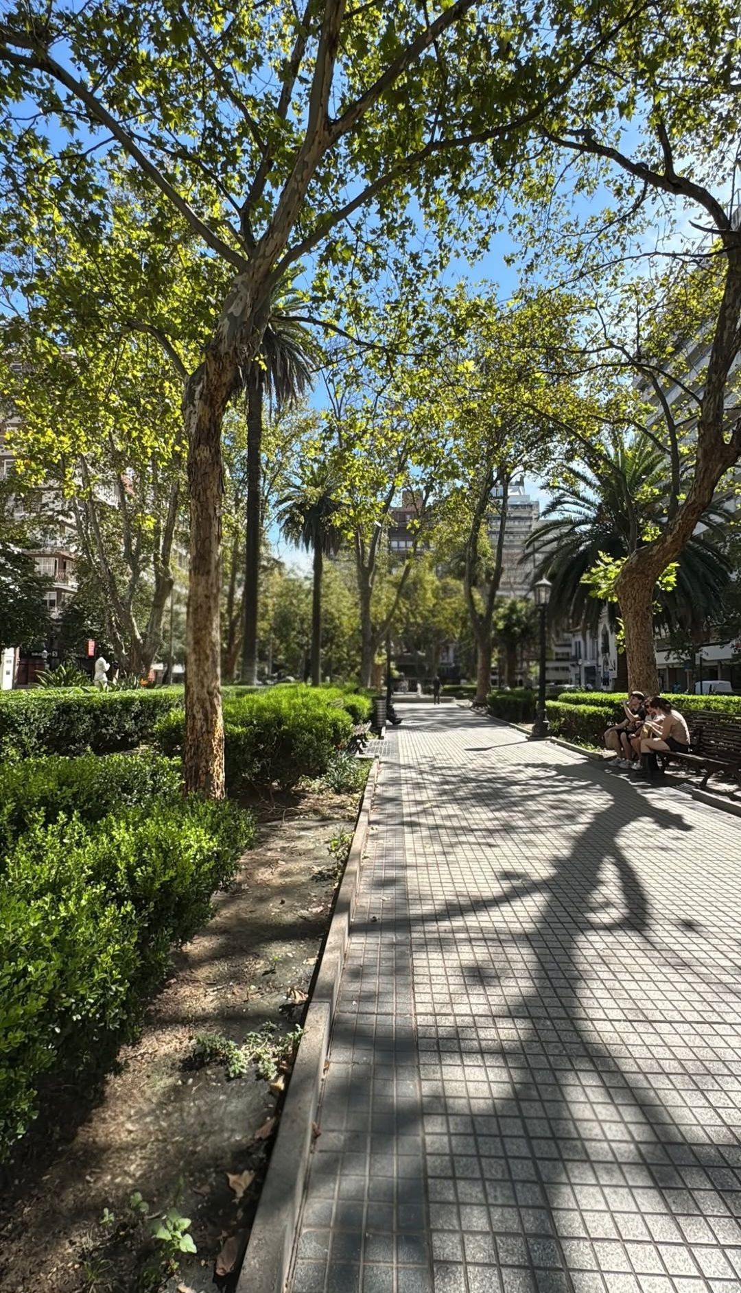 16 Panes Gris Capital en uso
