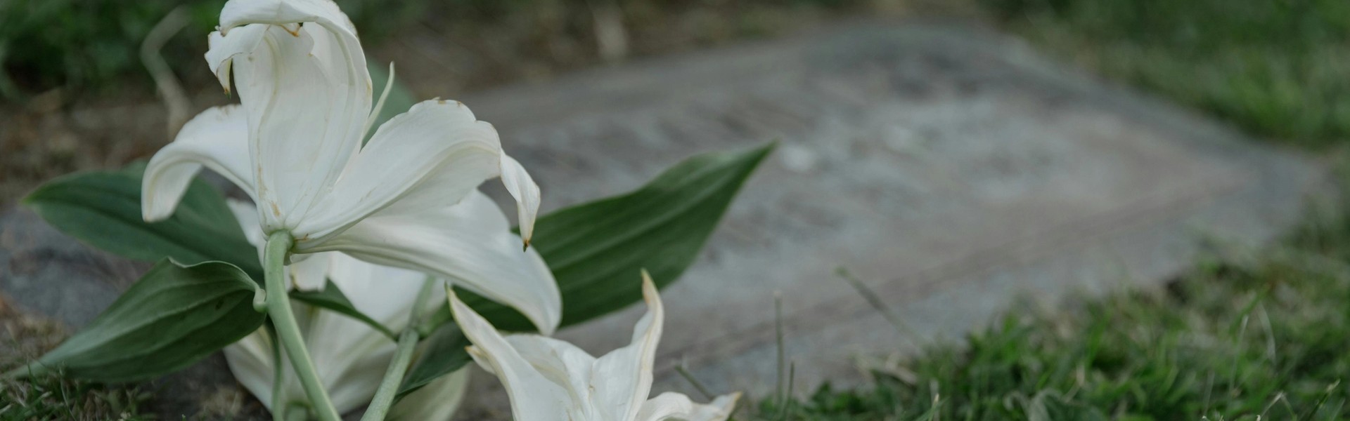 Cover Image for When to Hire a Wrongful Death Lawyer in Oklahoma City