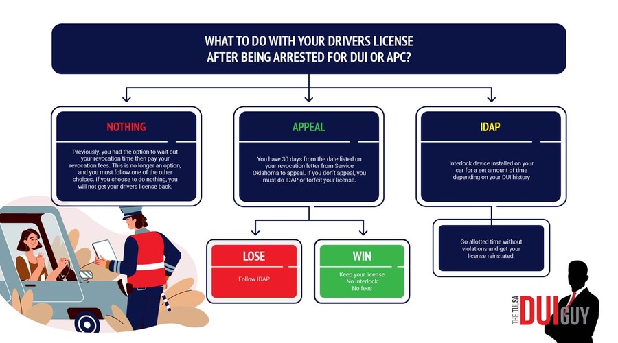 Driver's License Options