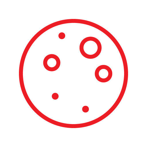 Sleep Medications (Ambien, Lunesta)