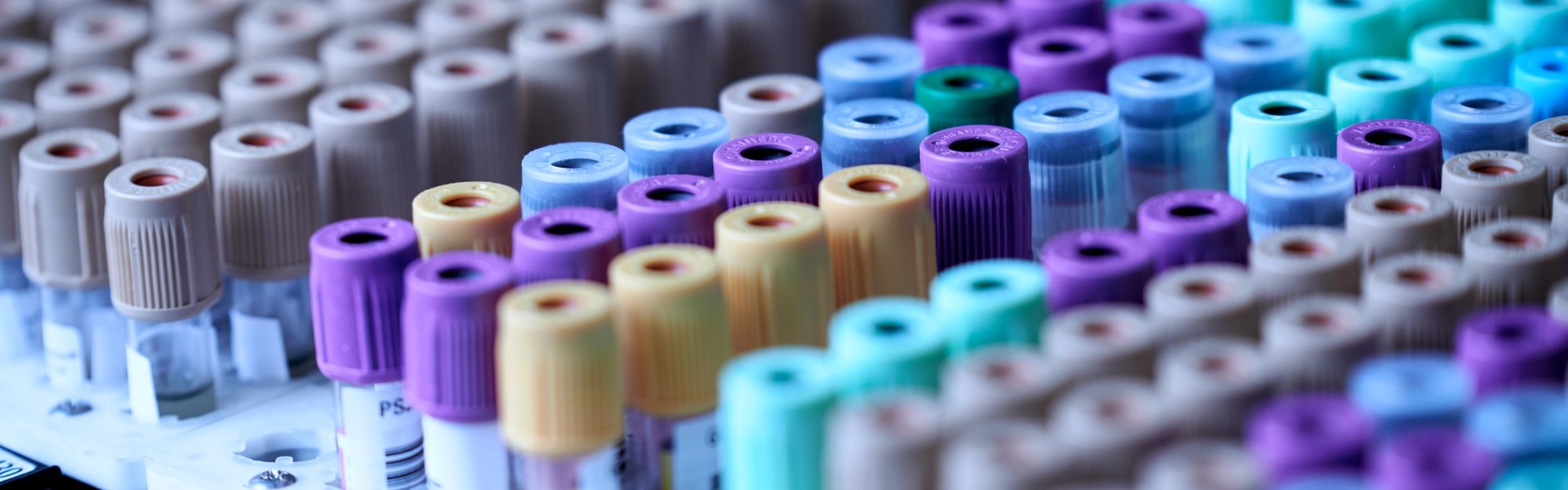 Cover Image for Oklahoma Board of Tests: What It Is and Why It Matters