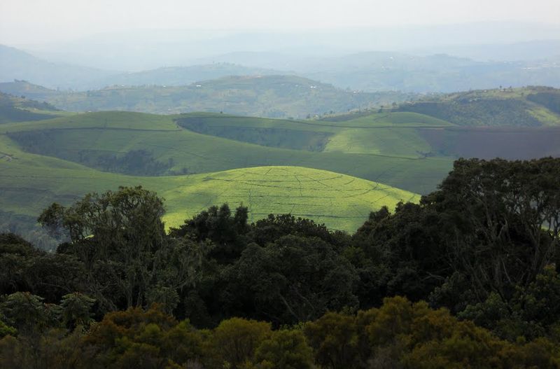 Green hills of Burundi under a clear sky