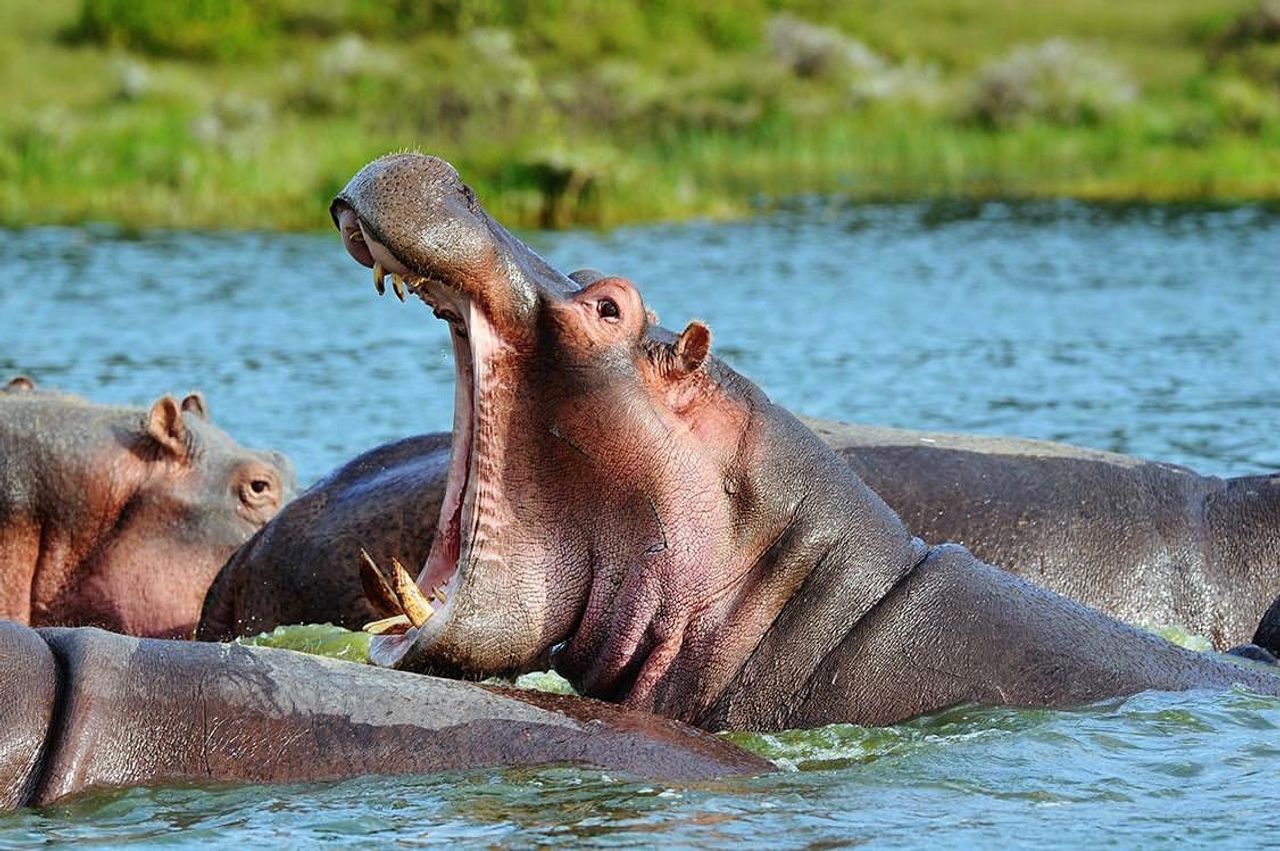 An authentic blend of local culture, nature, wildlife, and scenic discovery.
