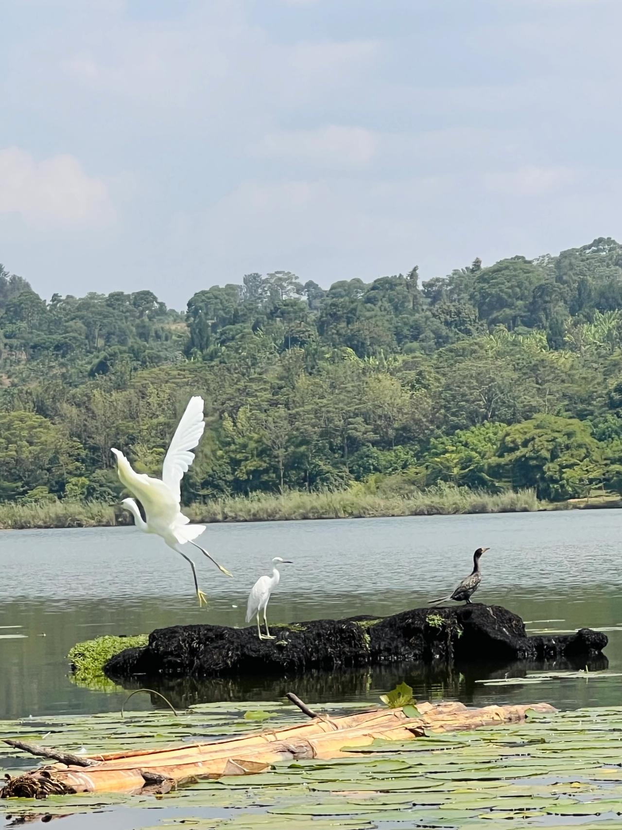 Scenic shores of Lake Tanganyika in Burundi