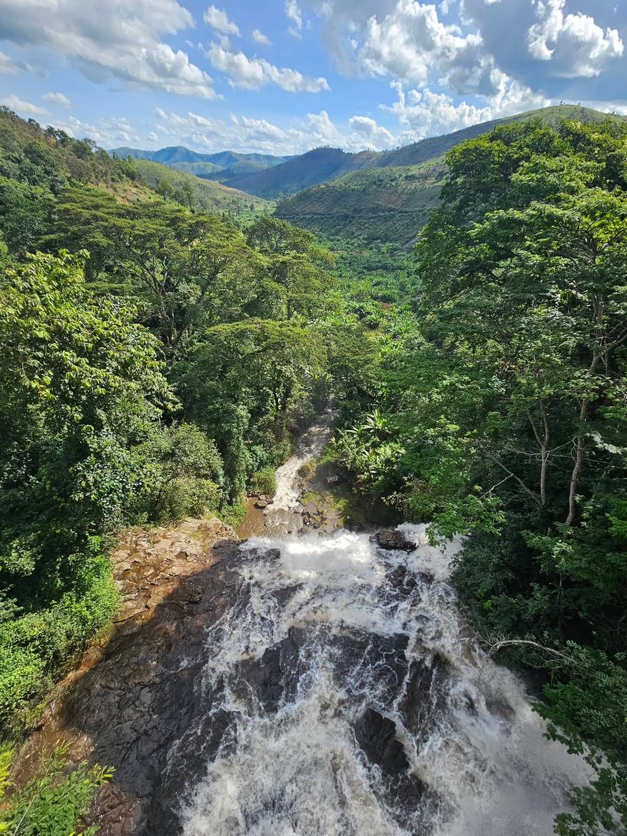 Nature
