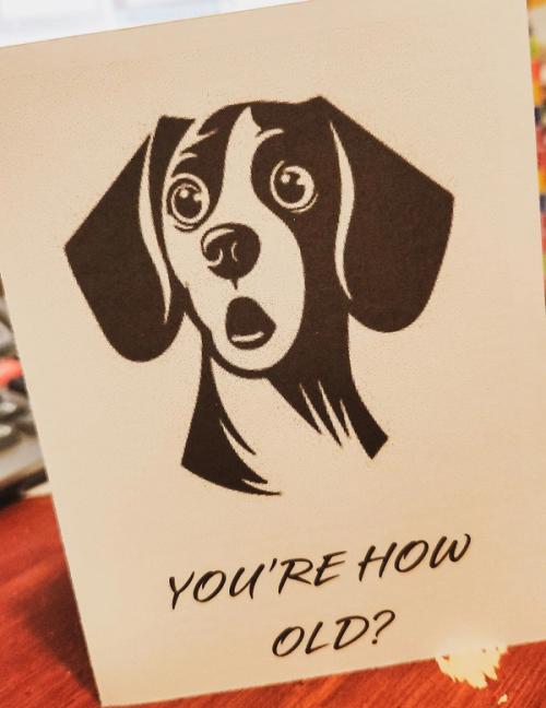 Birthday greeting card printed with a stippled black-and-white illustration of a wide-eyed beagle above the text "You're How Old?"