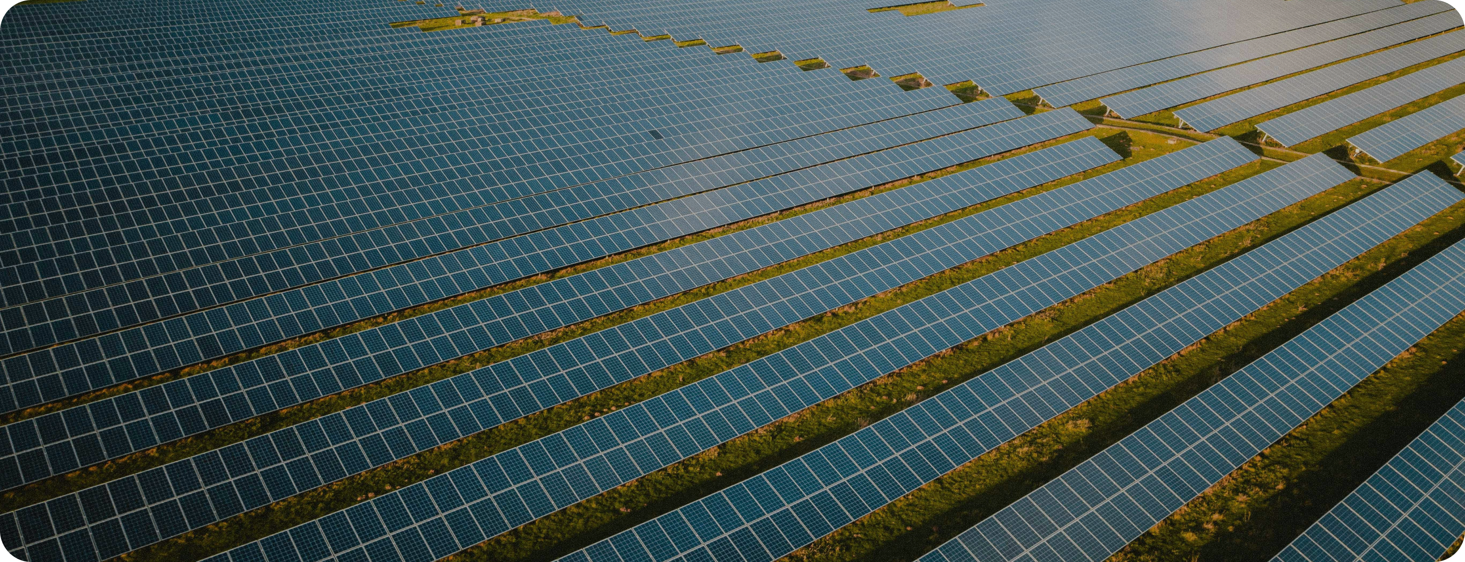 Solar panels in a field