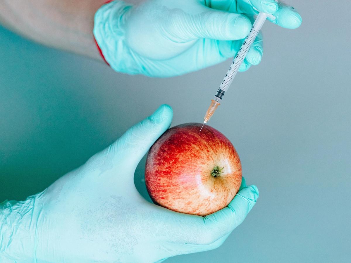Innovations alimentaires : progrès ou défis pour notre assiette ?