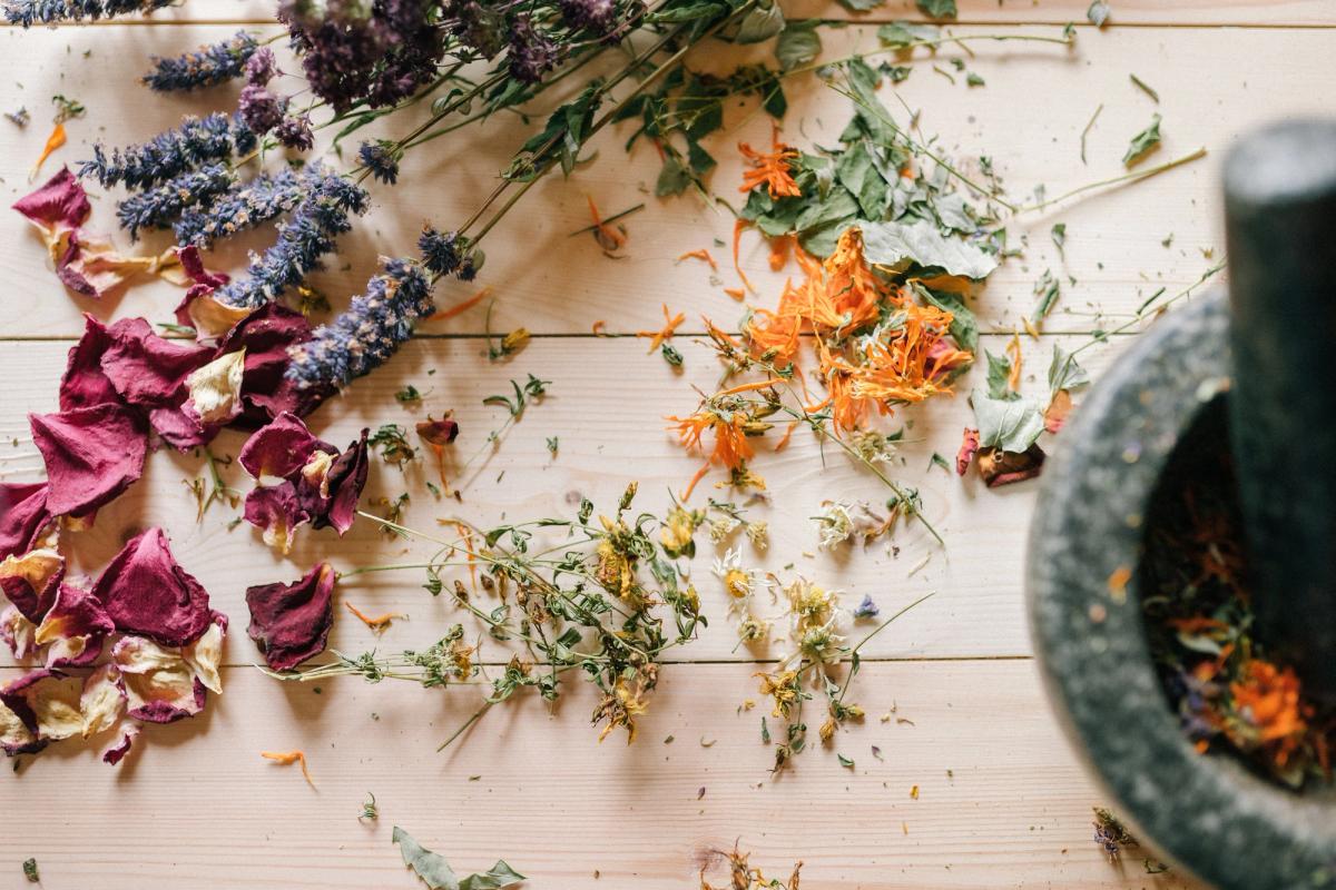 Sous vos pieds, des laboratoires : les plantes aromatiques et médicinales