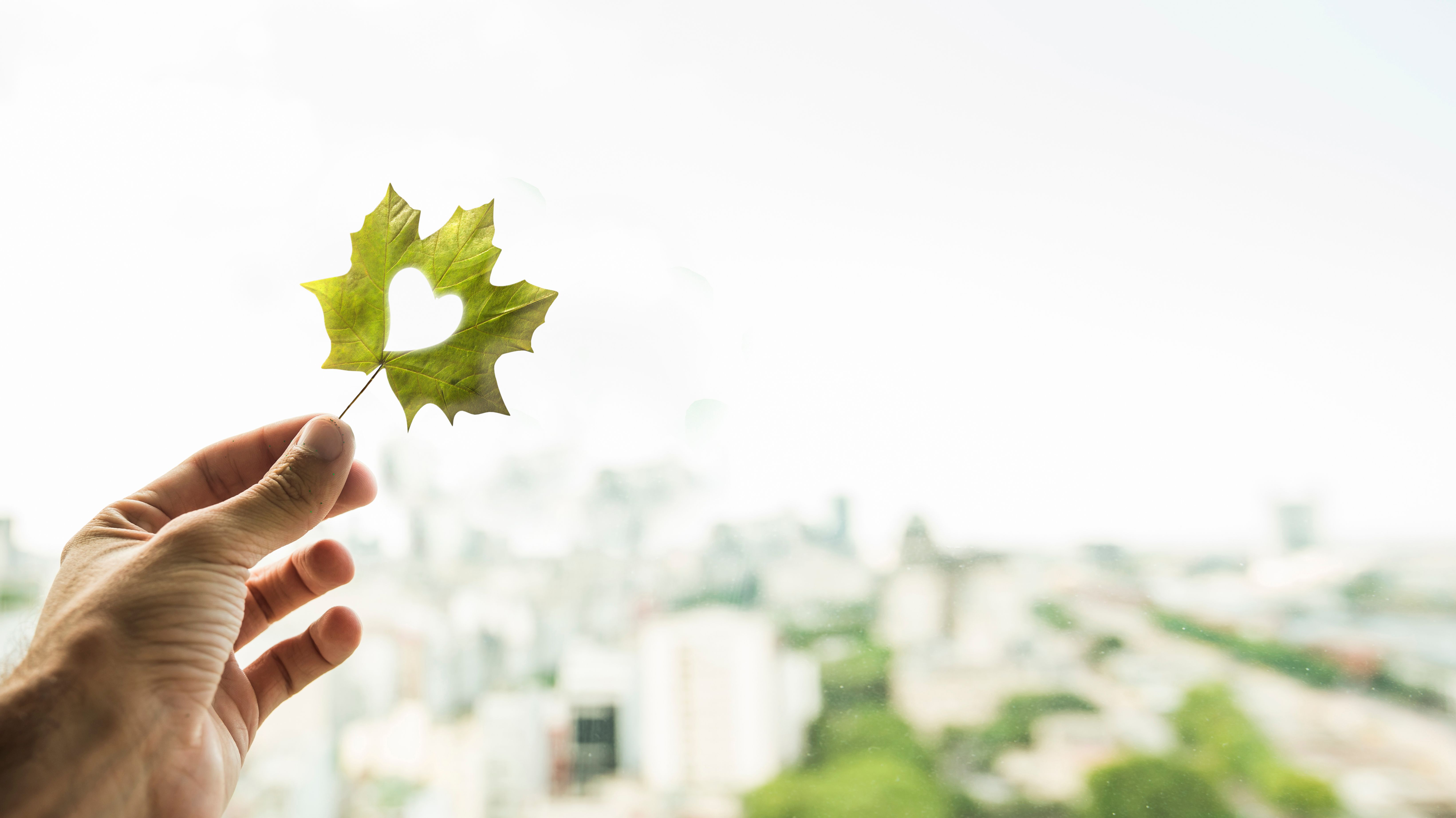 Comment les expérimentations en sciences humaines et sociales peuvent contribuer à la transition socio-écologique des territoires locaux ?