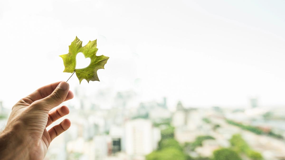 Comment les expérimentations en sciences humaines et sociales peuvent contribuer à la transition socio-écologique des territoires locaux ?