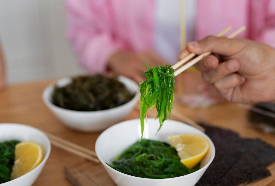 Saveurs d’avenir : Du plancton aux algues