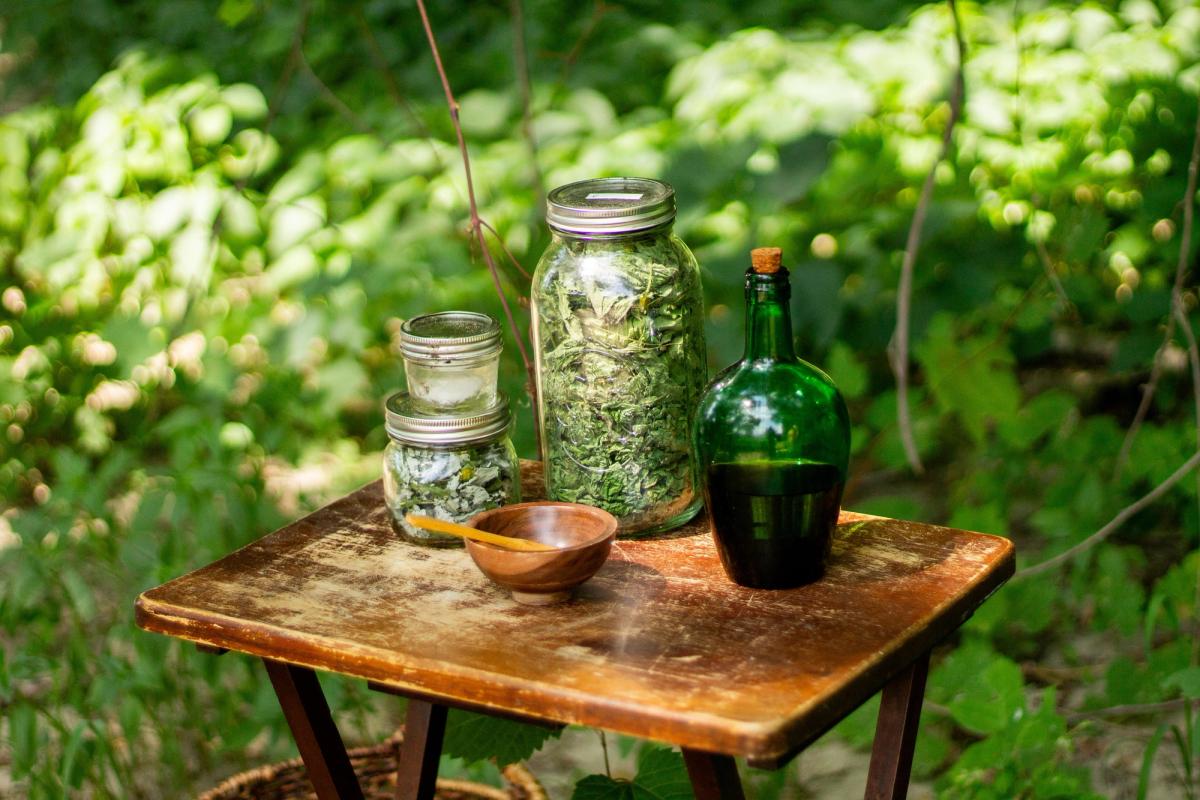 Quand la nature s'invite au menu