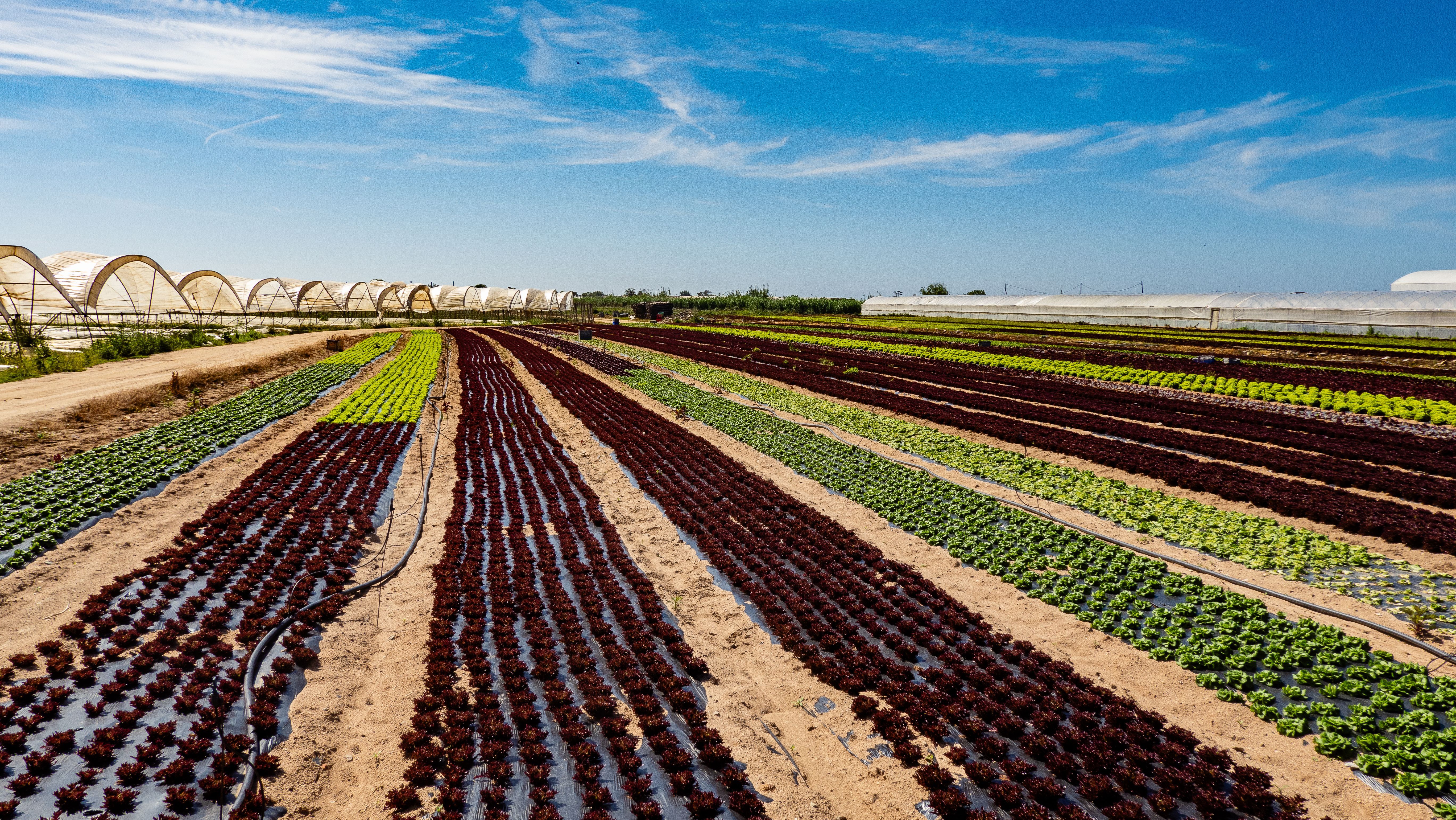 Agriculture, alimentation et eau