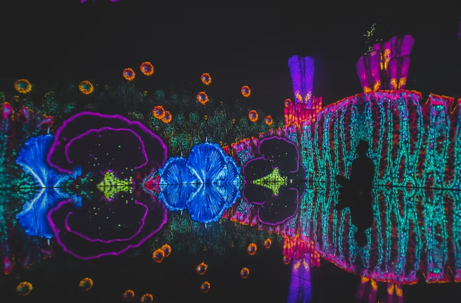 Cell worlds : découvrez les mondes cellulaires qui vous composent comme vous ne les avez jamais vu !