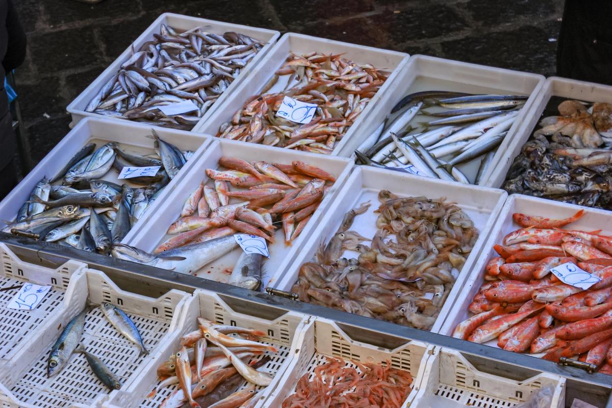 Comment ça ? Pas frais mon poisson ?! Odeur et bienfaits de molécules produites par les micro-algues