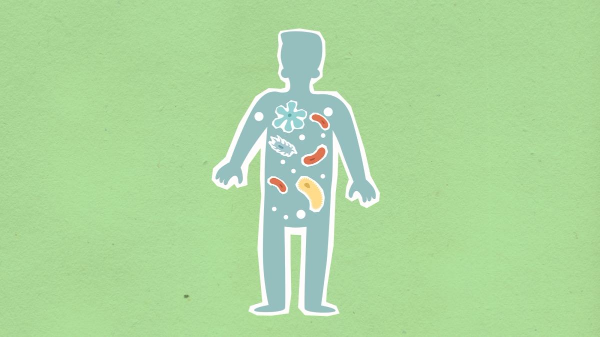 À la découverte du microbiote intestinal