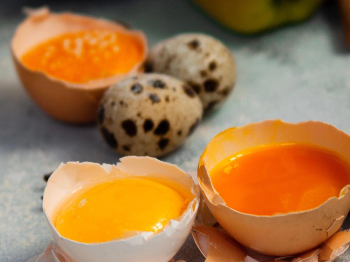 Quoi de n'oeuf dans votre assiette ?