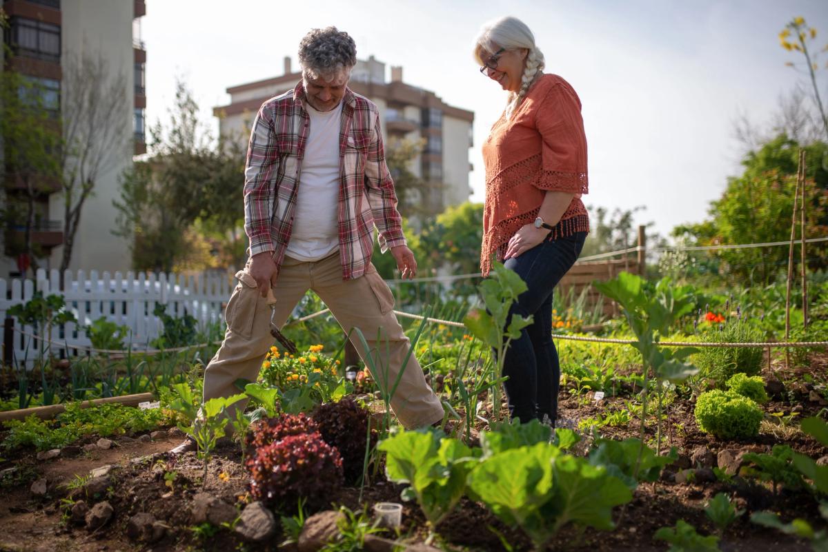 Atelier sur les Communs : "Où en sommes nous dans nos pratiques de commoning ?"