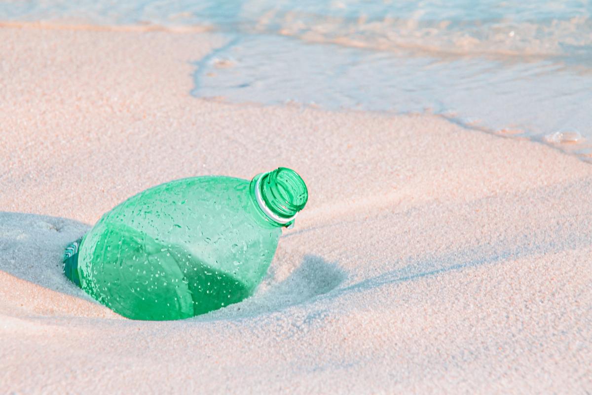Pour les 150 ans de l'Université Catholique de l'Ouest - Plastiques (micro et nano), quelles conséquences pour l'environnement et la santé humaine ?