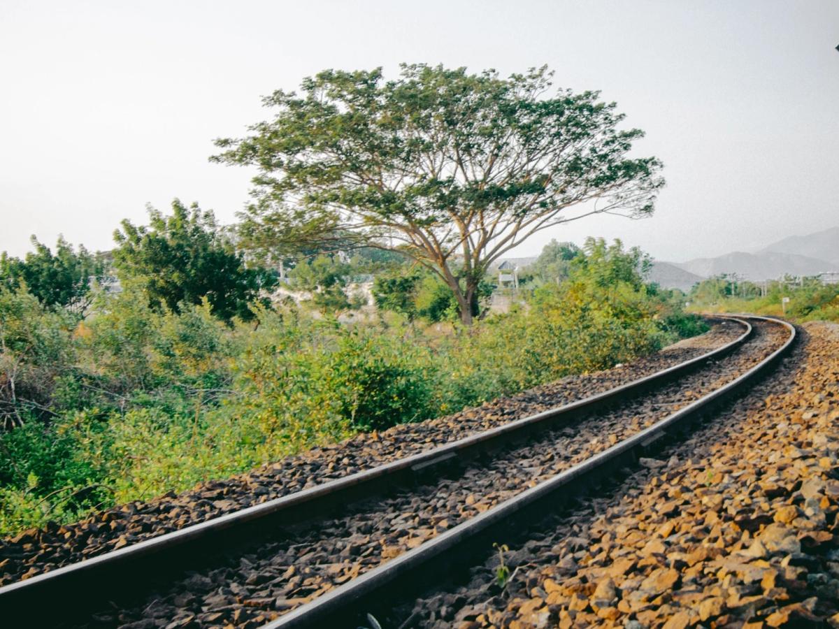 De la betterave au chemin de fer