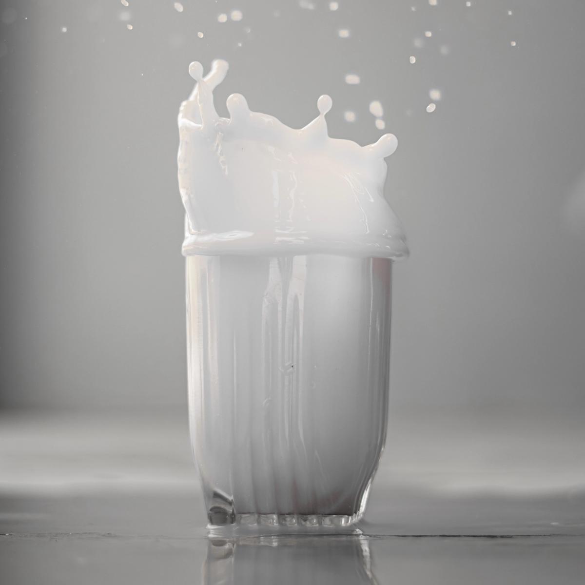 Le lait à la loupe !