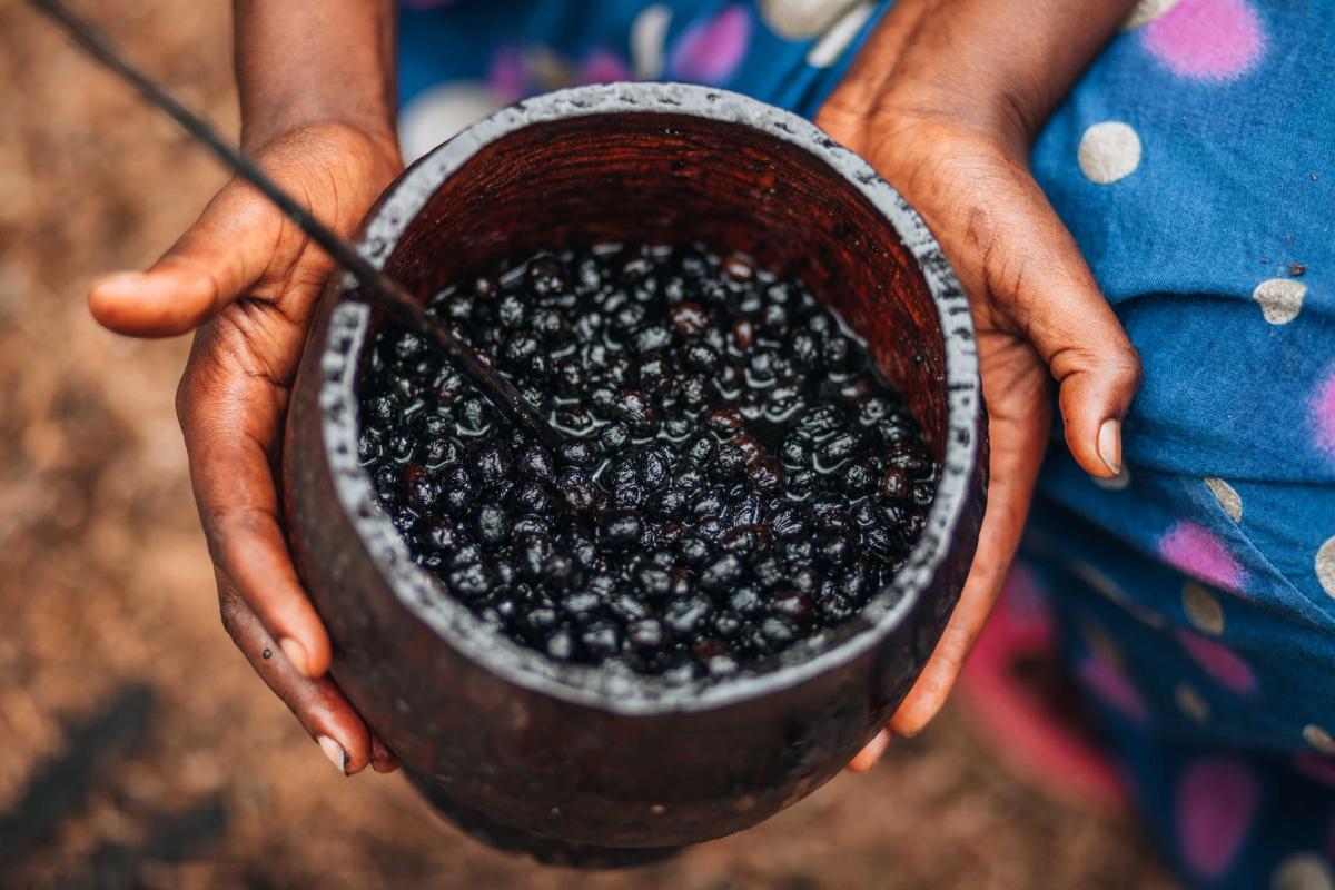 L'açaí, saveur de l'Amazonie : un fruit pour comprendre les dynamiques socio-environnementales du nord-est du Pará (Brésil)