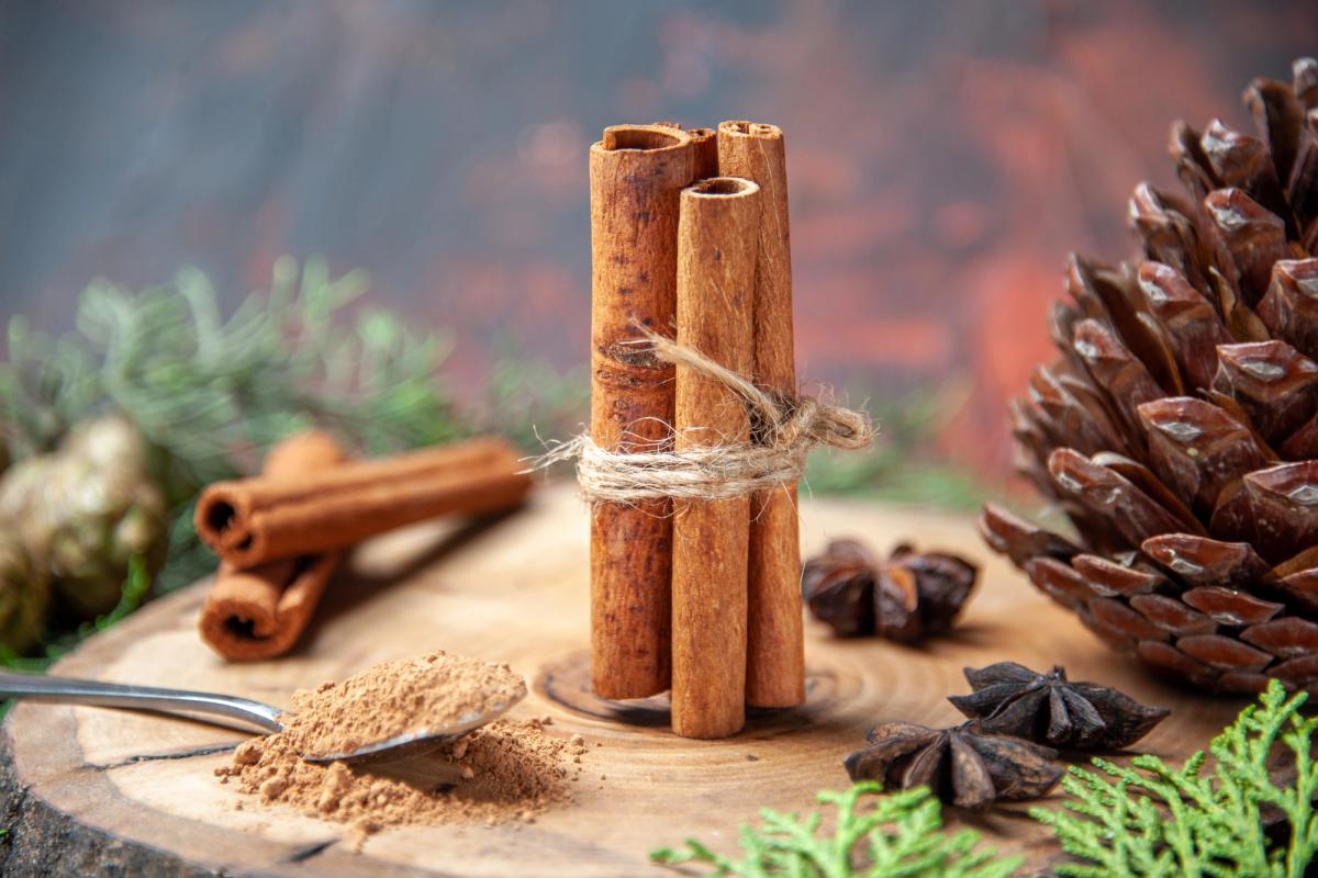 Les saveurs du bois et des arbres: amertume, astringence, mais aussi du sucré !