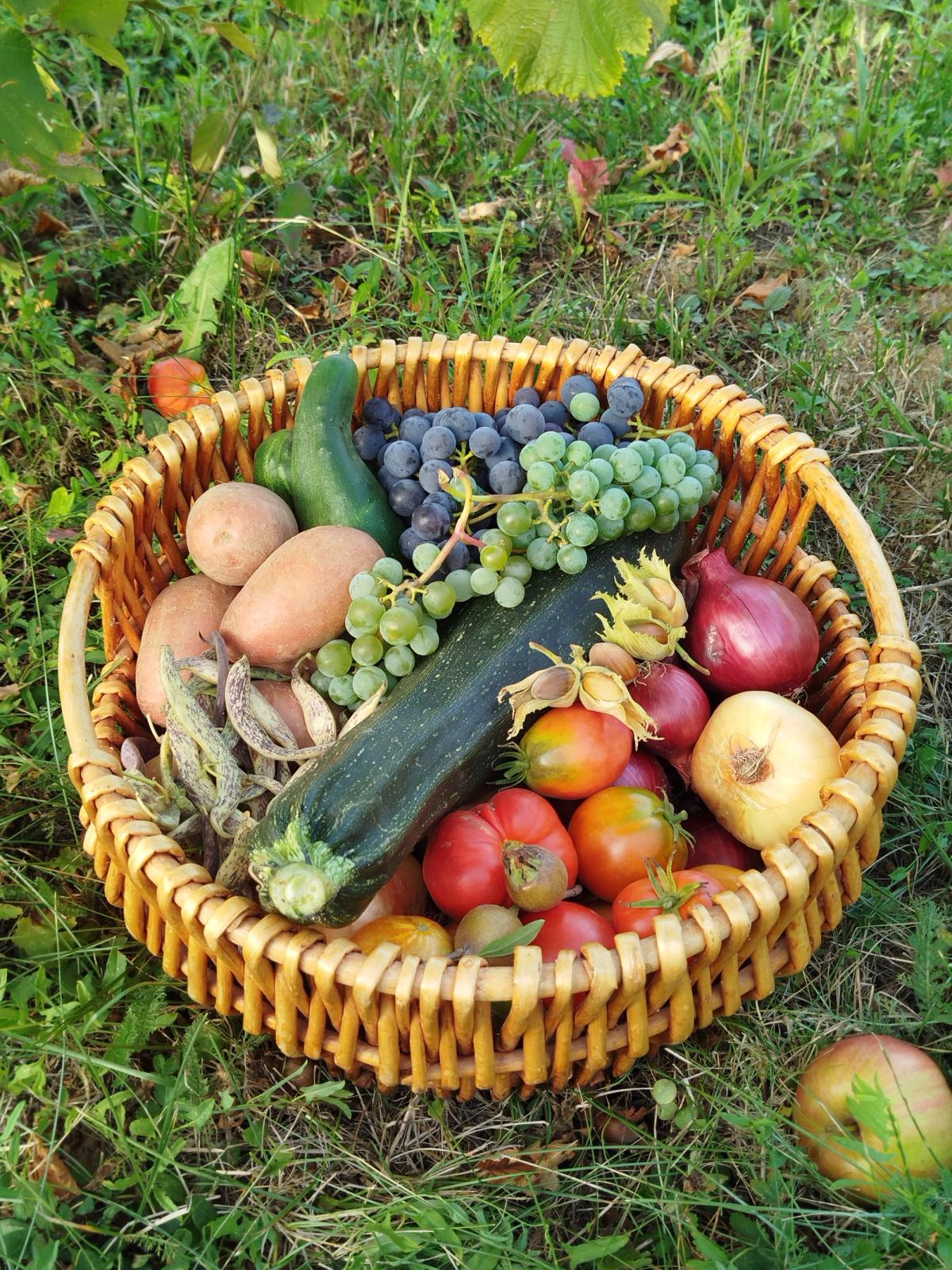 Catalyse #Biodiversité et alimentation : mon assiette est vivante !