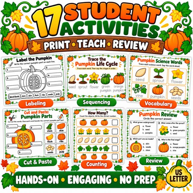 Pumpkin Life Cycle Worksheets: preview image 2