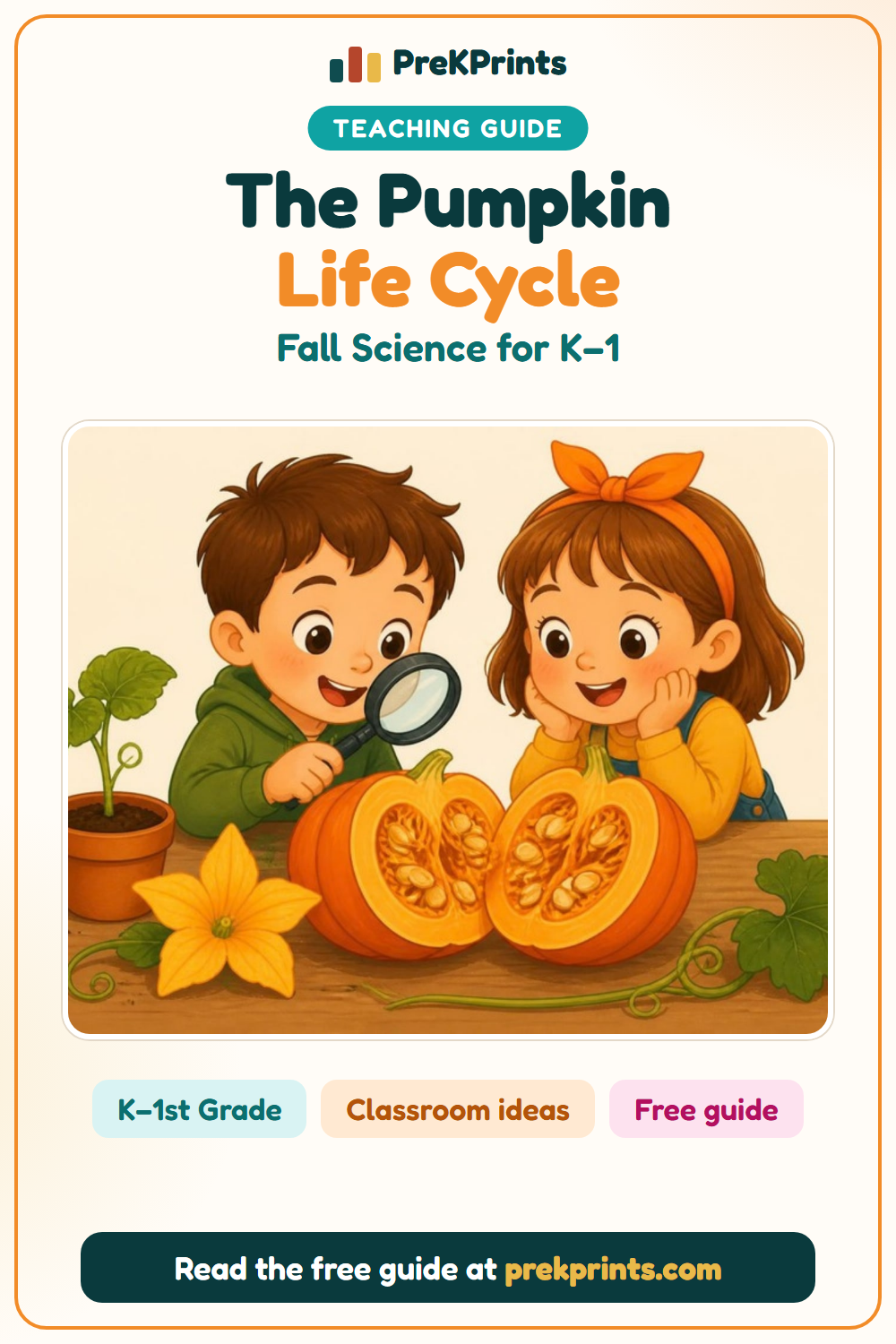 Pinterest image: The Pumpkin Life Cycle and Parts of a Pumpkin, a teaching guide from PreKPrints