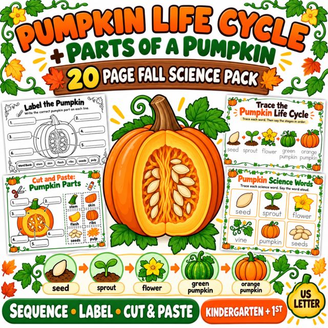 Pumpkin Life Cycle Worksheets: preview image 1