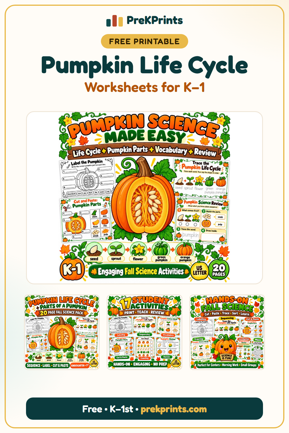 Pinterest image: Pumpkin Life Cycle Worksheets from PreKPrints