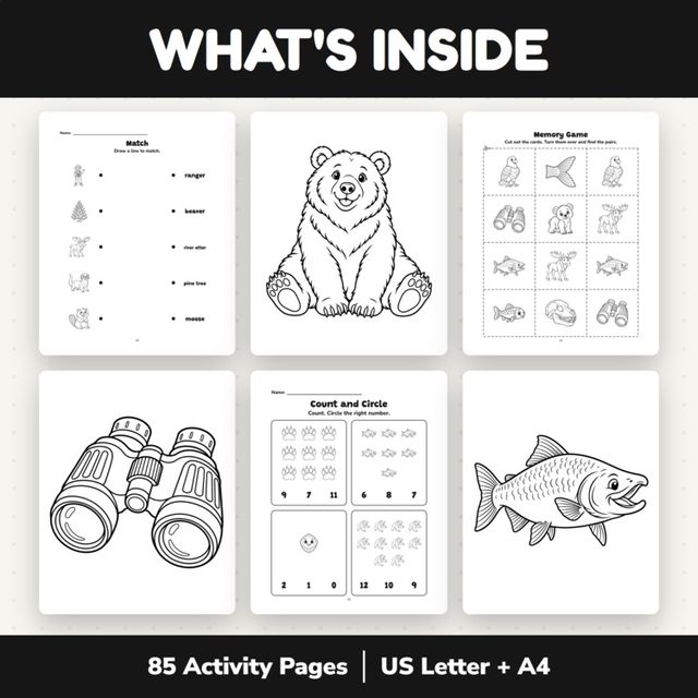 Fat Bear Week Activity Book – Brooks Falls Bears & Salmon | Memory Games — preview 1