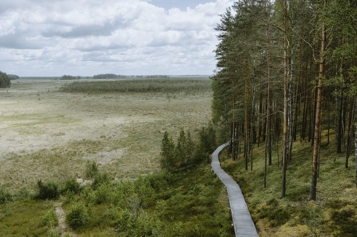 „Ar žmogus galėtų nueiti 100 km?" Prasidėjo nuo juoko — dabar eina dėl autistiškų vaikų