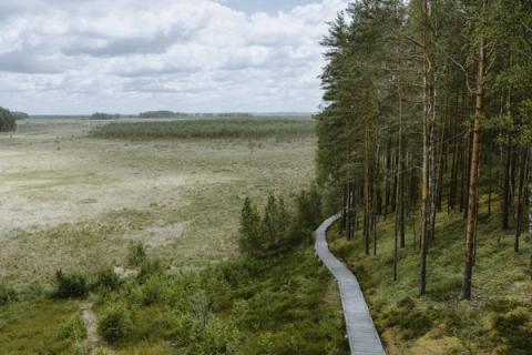 „Ar žmogus galėtų nueiti 100 km?" Prasidėjo nuo juoko — dabar eina dėl autistiškų vaikų