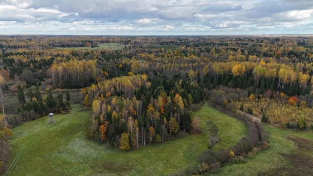 Latvijos žvalgyba perspėja: Rusija gali smogti hibridinėmis atakomis Baltijos šalims