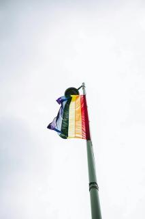 20 tūkstančių žmonių ir rožinis trikampis: eitynės Už lygybę parodė, ko nepamatysi per Seimo transliaciją