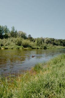 Nemunaičio maudykloje vanduo vėl saugus