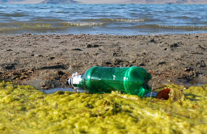 Nuotekų valymo naujovės: Atliekų pavertimas ištekliais