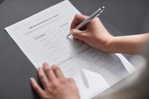 Nalšios šiaurinėje apygardoje registraciją baigia 12 partijų ir Vaitkus