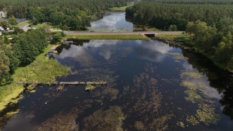 Alytiškiai iki liepos 6-osios sprendžia dėl penkių miesto projektų