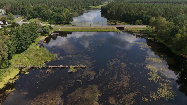 Nemuno maudykloje ties Nemunaičiu mikrobiologinė tarša viršija normą