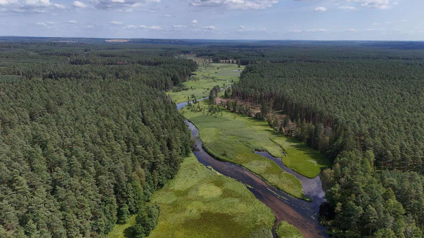 Nemenčinės miškininkai surinko miške išverstas statybines atliekas – štai kur pranešti