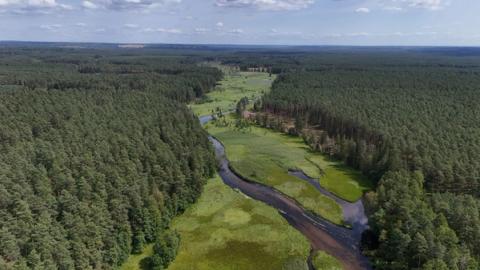 Nemenčinės miškininkai surinko miške išverstas statybines atliekas – štai kur pranešti